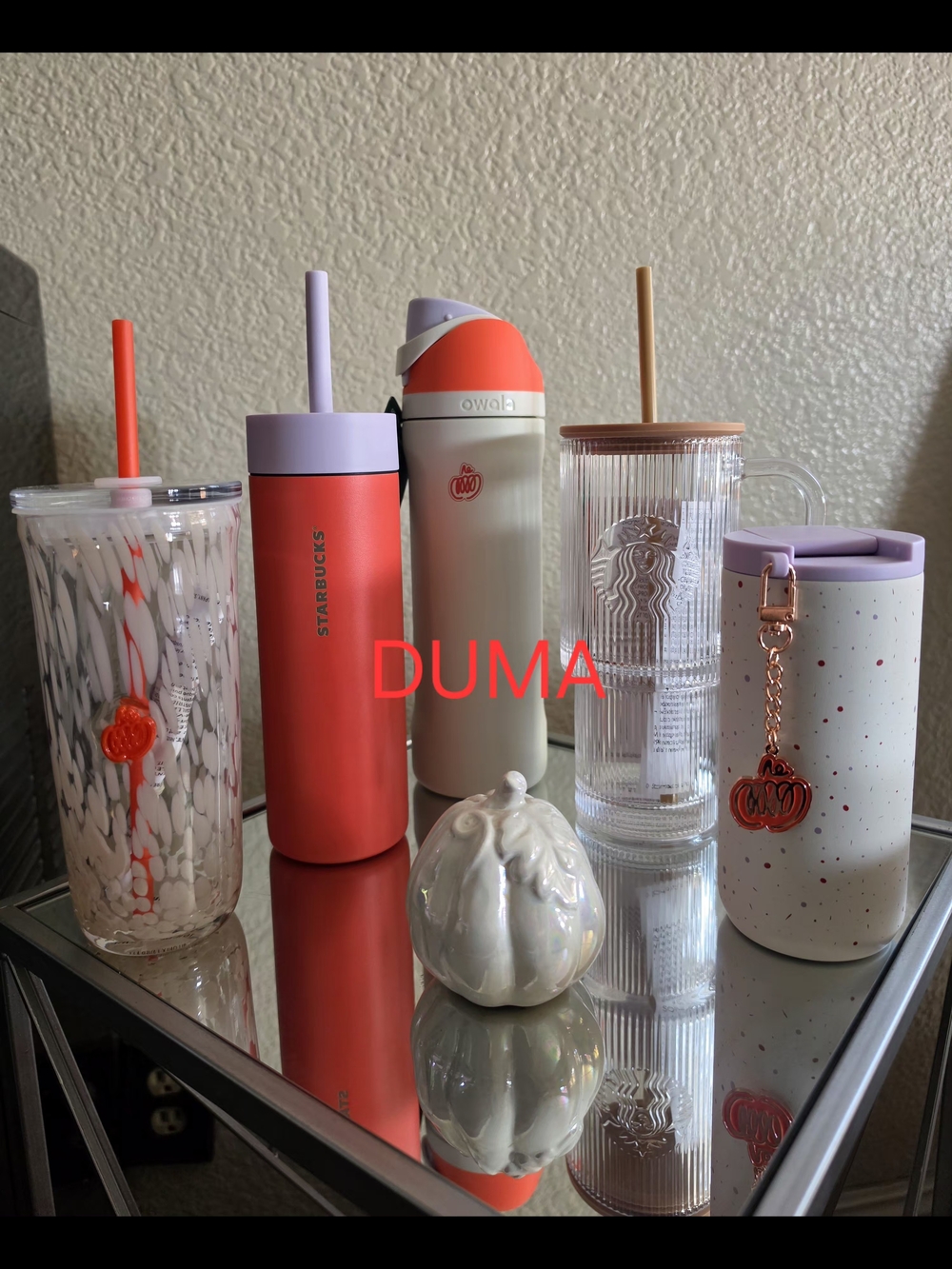 Starbucks PSL Collection 🍁